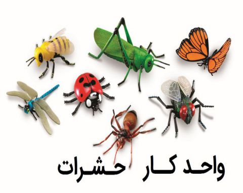 آموزش علوم واحدکار حشرات مربی خانم نوری فر_پیش2